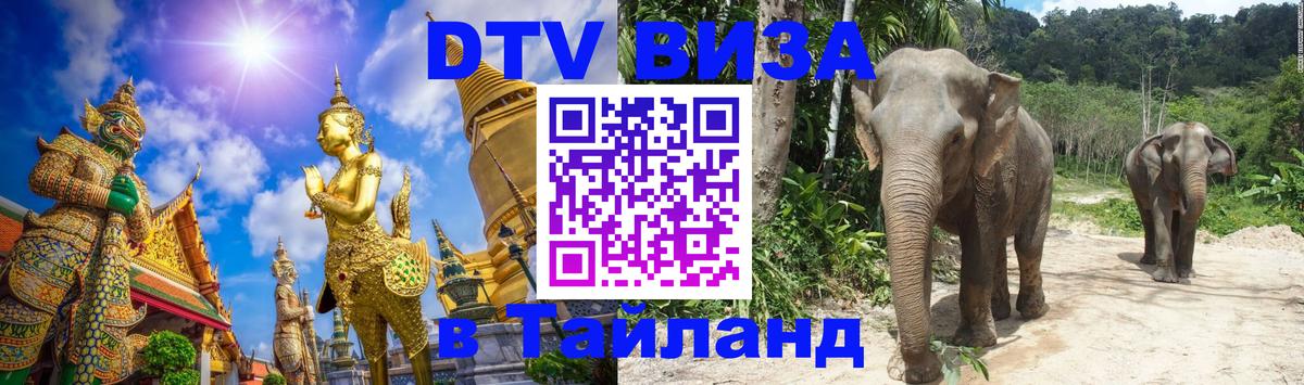 Сколько стоит DTV виза — актуальные цены, оформление даже без документов - 18.11.2025 